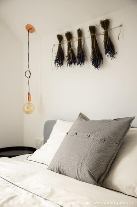 Casa269B - Cozy House With Scandinavian Design Moieciu de Jos Exterior foto
